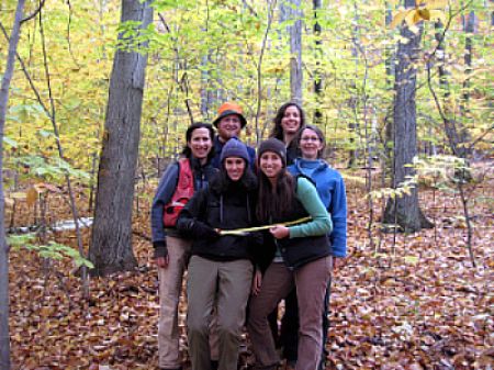 Group