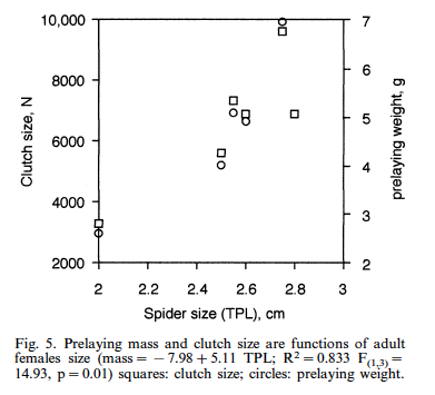 spider fecundity increases with size