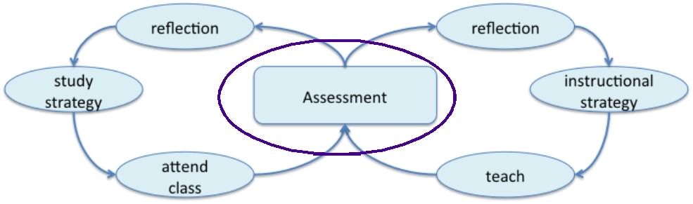 schematic of assessment loops