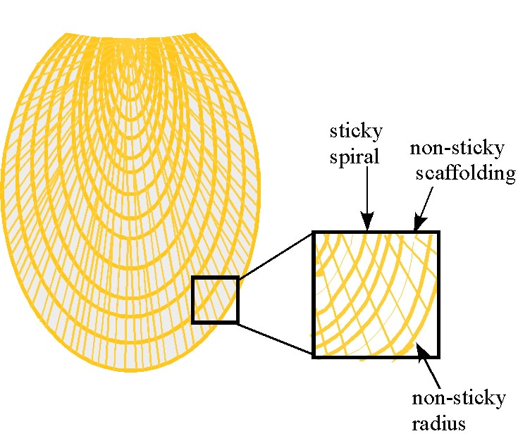 labeled orb 1