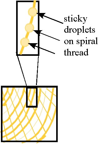 orb components 2