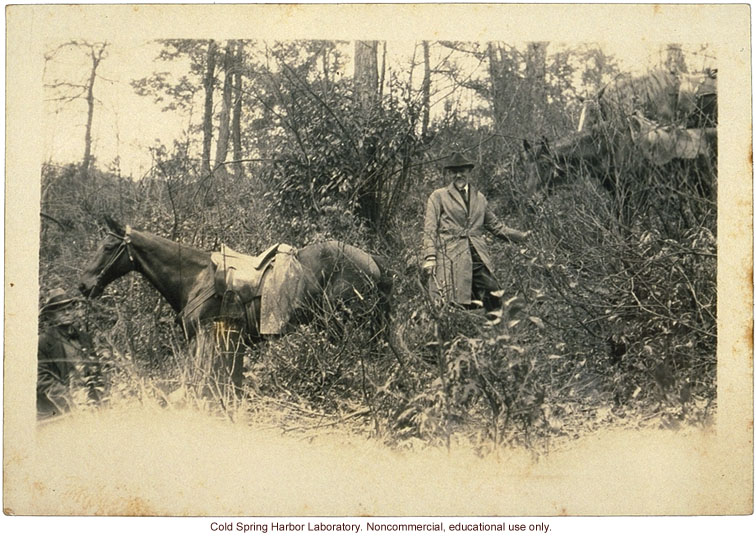 Picture of Charles Davenport conducting fieldwork in Kentucky