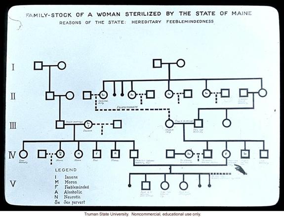 Picture of a pedigree of a woman sterilized by the state of Maine
