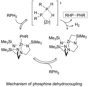 catalytic
              phosphine dehydrocoupling