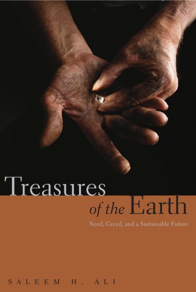 Treasures of the Earth book
