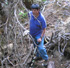 description of image