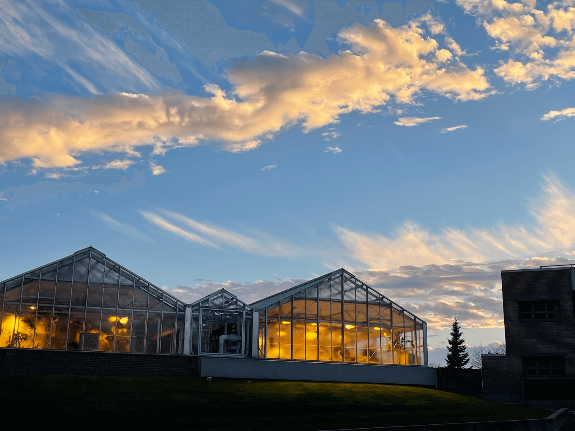 UVM Greenhouses on campus at sunset