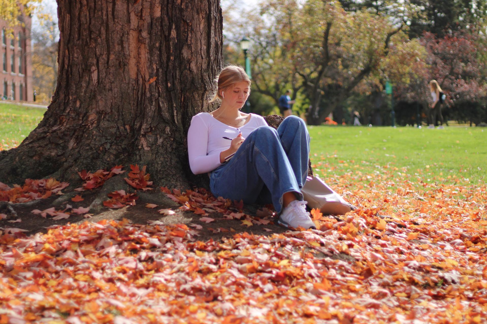 Student studies beneath a tree while sitting in orange fall leaves