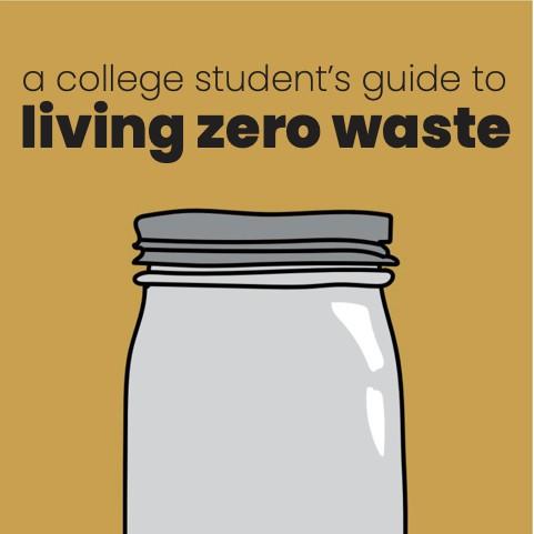 zero waste guide poster