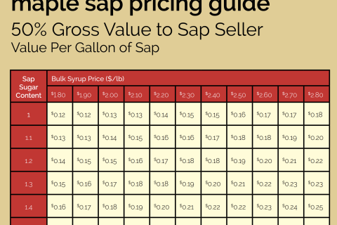 Maple Sap Pricing Guide