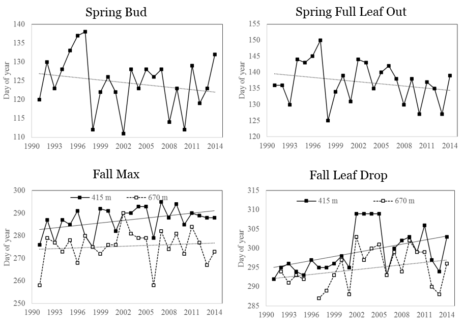 Long-term trends in the timing (mean day of year) of spring and fall phenological events for sugar maple from 1991 to 2014. Spring bud burst (top left) and full leaf out (top right) are assessed yearly at lower elevation (415m), with linear trend line shown. Fall maximum coloration (bottom left) and leaf drop (bottom right) yearly data are shown for sugar maple at two elevation (415m and 670 m) as well as a linear trend line in both.