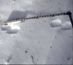 Fisher Tracks