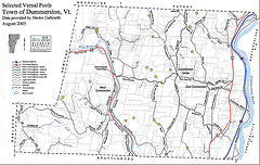 Dummerston Vernal Pools Map