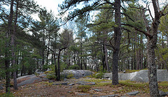 Black Mountain Summit