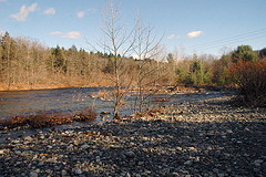 West River Cobble Shore