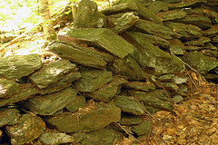 Prospect Hill Rock Wall
