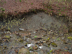 Glacial Till Slumping