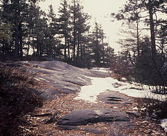 Black Mountain Summit Granite