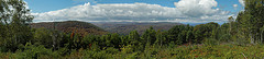 Prospect Hill Panorama