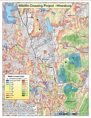 Wildlife Crossing Map