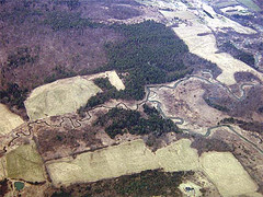 Wildlife Corridors
