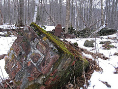 Farm Relics in the Hinesburg Town Forest