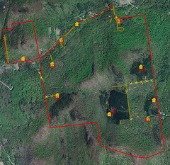Cultural sites in the Hinesburg Town Forest