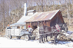 Bisonette Sugar Shack