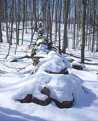 Stonewalls in the Hinesburg Town Forest