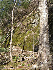 Enriched Limestone on the Bissonnette Property