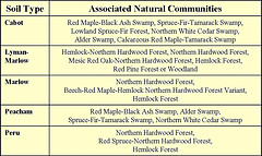 Soil Types and Associated Natural Communities in the Hinesburg Town Forest