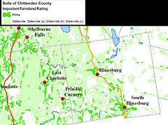Map of Important Farm Soils in Hinesburg