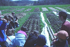 The Russell Farm