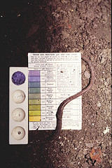 Measuring pH