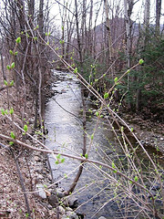 Hollow Brook