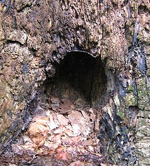 Hole