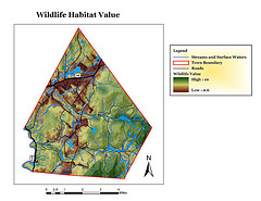 Wildlife Habitat