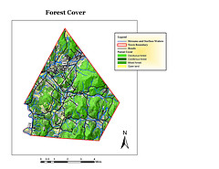 Jericho Forest Cover