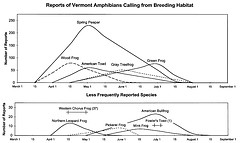 Vermont Frog Calling Times