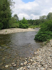 Browns River