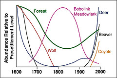 Historic Wildlife Patterns