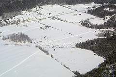 Plains Road