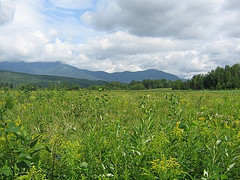 Browns River Valley