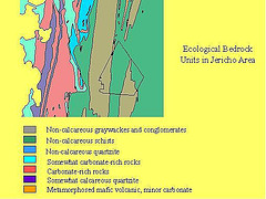 Regional Bedrock Types