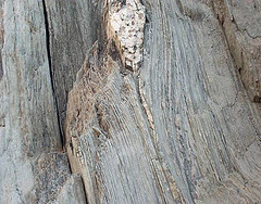 Pinnacle Formation