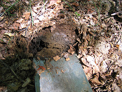 Soil pit in the Prosper Valley showing mica flakes