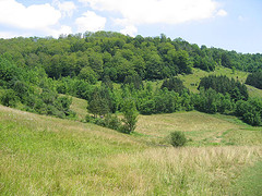 Gilbert Hill in Woodstock