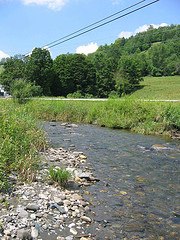 The Gulf Stream along Route 12 in the Valley