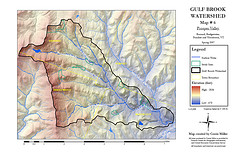 Gulf Brook Watershed Map