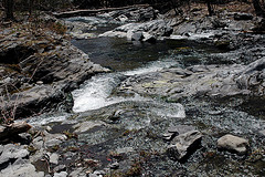 East Putney Brook Bedrock